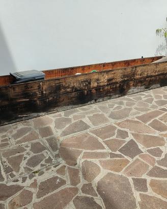 cassone per orto rialzato 