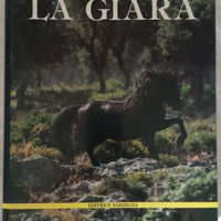 Sardegna ."La Giara."
