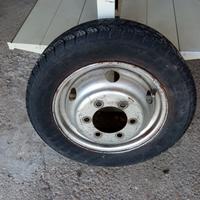 cerchione Daily 35-8