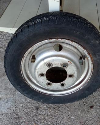 cerchione Daily 35-8