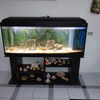 acquario 400L