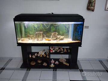 acquario 400L