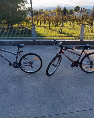 biciclette Decathlon