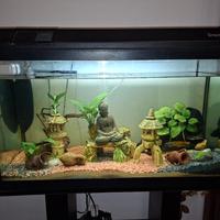 Acquario 130lt tutto incluso