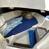 Barca a motore
