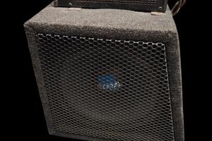 Subwoofer Coral evo 262