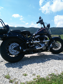 Per amatori harlydavidson