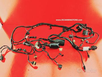IMPIANTO ELETTRICO DUCATI HYPERMOTARD 796