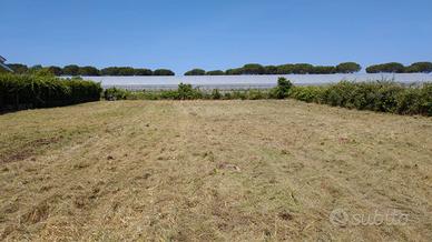 Terreno Edificabile 1.500 mq Aprilia - Pantanelle