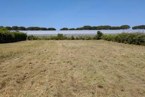 Terreno Edificabile 1.500 mq Aprilia - Pantanelle