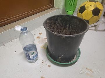 Vaso più sottovaso