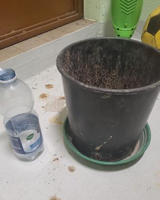Vaso più sottovaso