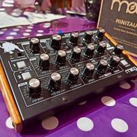Synth Moog Minitaur