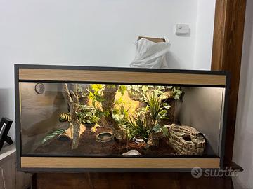 Terrario per rettili