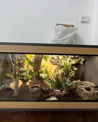 Terrario per rettili