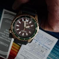 Citizen Promaster Diver 200Mt originale