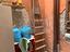 Immagine 9