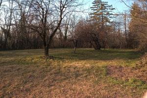 Brebbia Via Mirasole