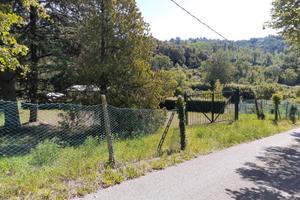 Terreno agricolo recintato - Venarotta
