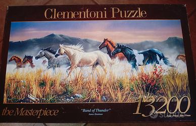 Puzzle 13200 pezzi cavalli