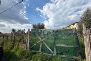 TER. RESIDENZIALE A ROMA