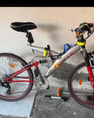 Bicicletta