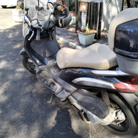 Beverly 250 cc