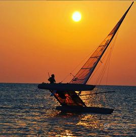 Catamarano formula 20