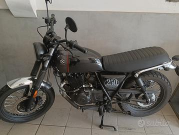 Brixton Cromwell 250 - 2022