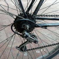 Bici uomo sporr