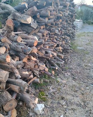 Legna da ardere pronta per l'utilizzo