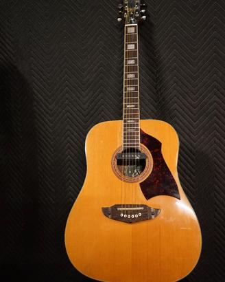 Chitarra acustica vintage EKO RIO BRAVO Made in IT
