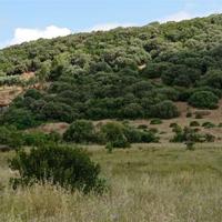 Alghero lotto di terreno vicinanze città