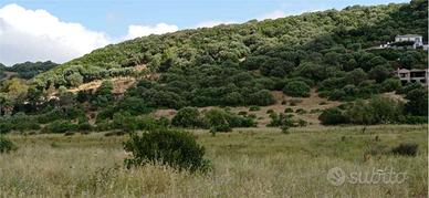 Alghero lotto di terreno vicinanze città