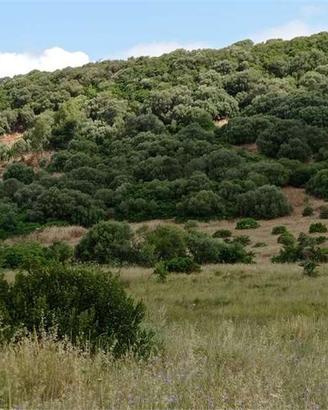 Alghero lotto di terreno vicinanze città