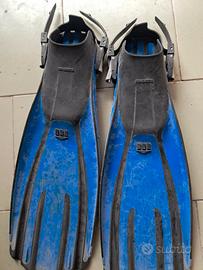 pinne sub mares 