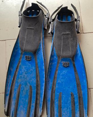 pinne sub mares 