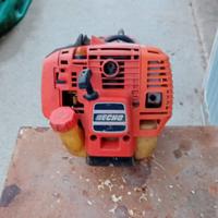 Decespugliatore echo