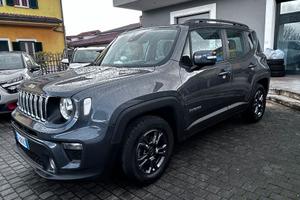 Jeep Renegade 2019 1.0 t3 Business 2wd