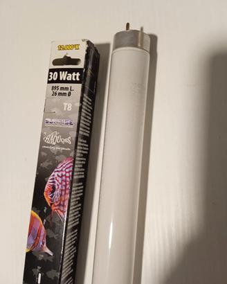 Tubo neon