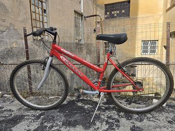 Mountain bike