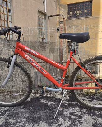Mountain bike