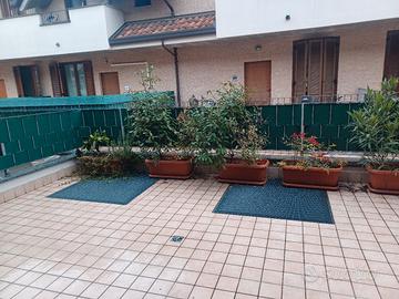 vasi con piante da esterno