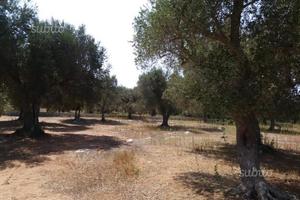 Agro che dista 2 km. da martano(le)