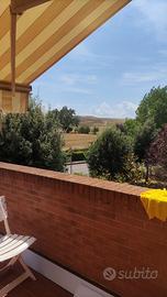 BIlocale Monteroni d'Arbia