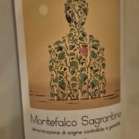 6 bottiglie di sagrantino a scelta 