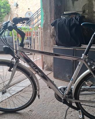 bicicletta da passeggio