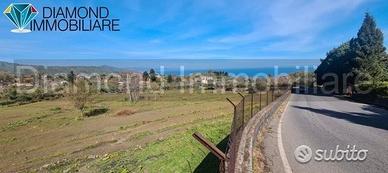 Terreno 15.000 mq a piedimonte etneo