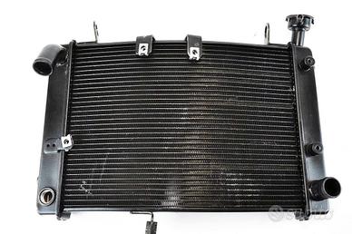 Benelli Leoncino 800 2022 2026 radiatore acqua