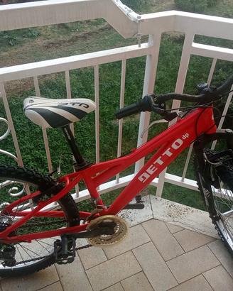 Bicicletta